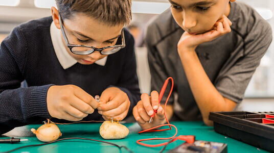 wattpatat: kinderen maken elektriciteit met aardappelen